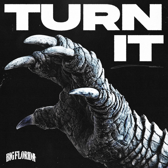 TURN IT album art