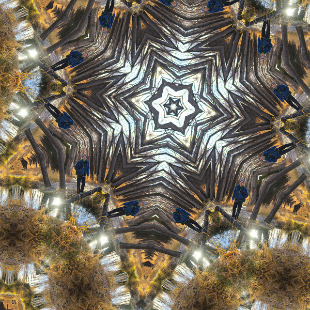 Artistree cover art