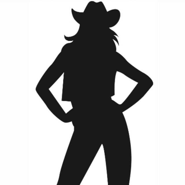Miss Fancy Pants cover