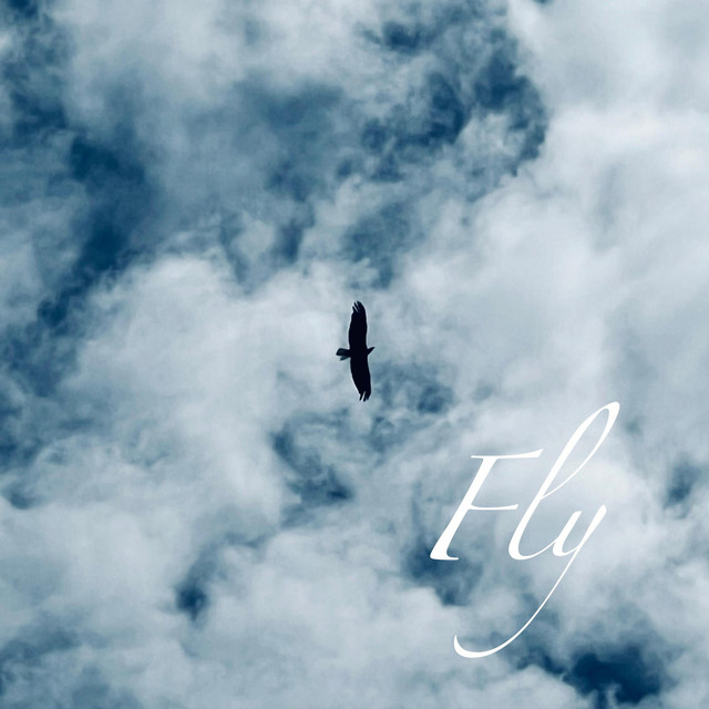 Fly