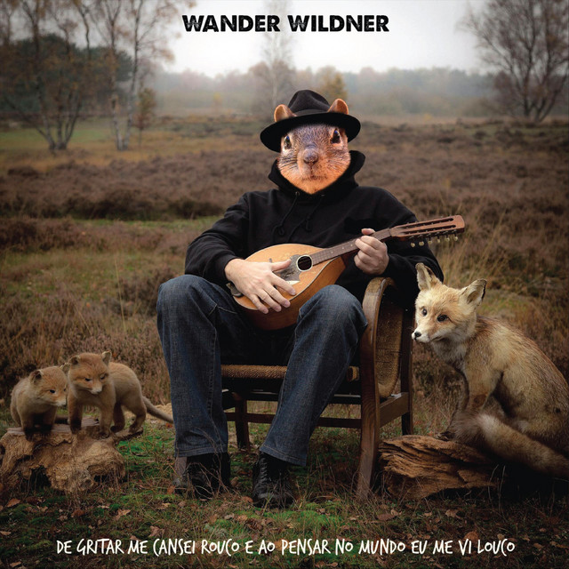 De Gritar Me Cansei Rouco e ao Pensar no Mundo Eu Me VI Louco cover art