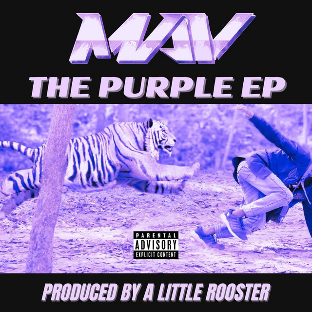 Painting Purple Skies cover art