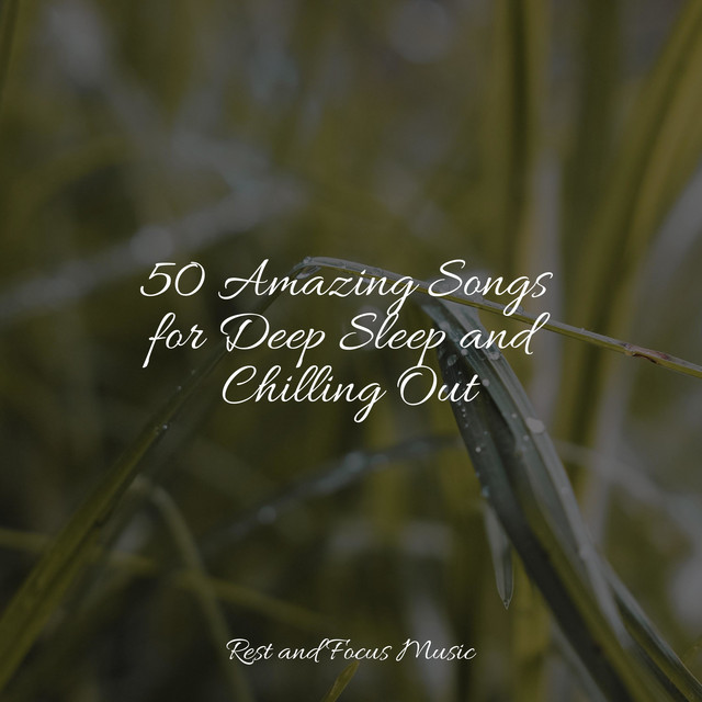 50 Amazing Songs for Deep Sleep and Chilling Out - Album by Spa ...