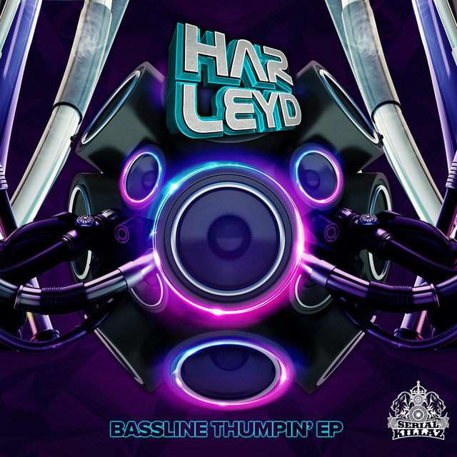 Bassline Thumpin\' artwork