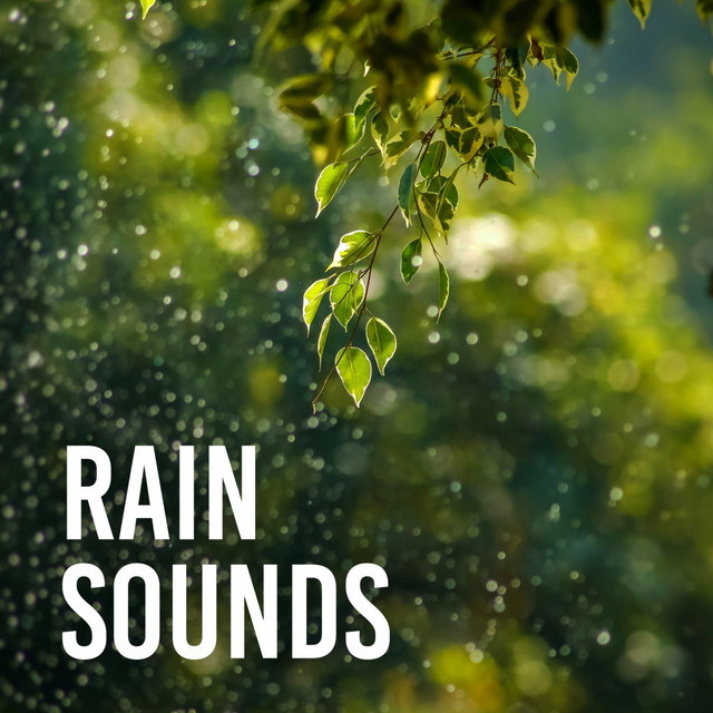 Rain Sounds cover art