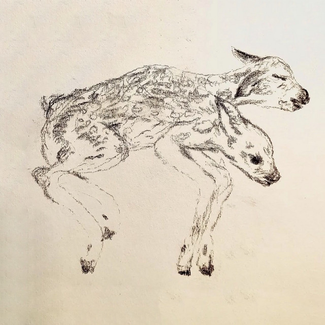 billy cover