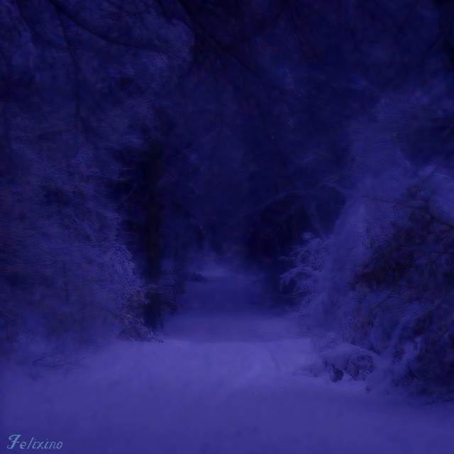 a blue forest (slowed)