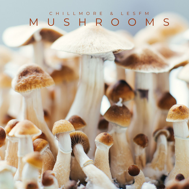 Обкладинка: Mushrooms — Chillmore