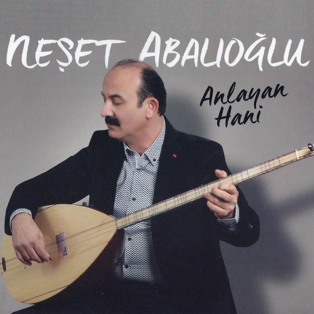 Anlayan Hani cover art