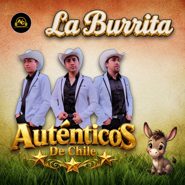 Autenticos De Chile
