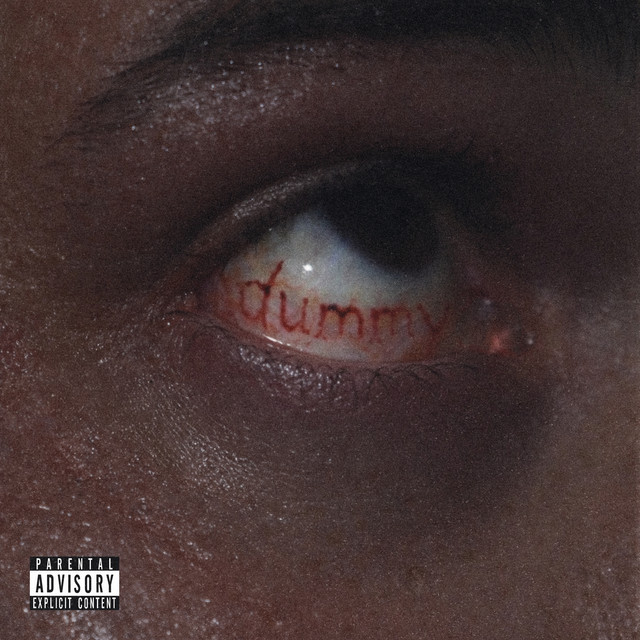 Dummy cover art