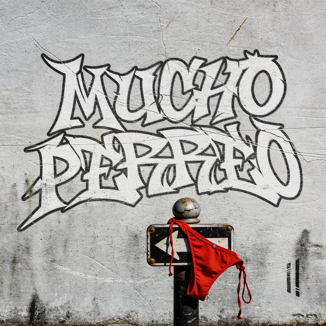 MUCHO PERREO