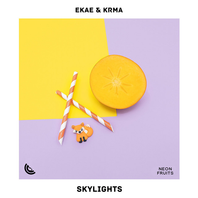 Skylights cover art