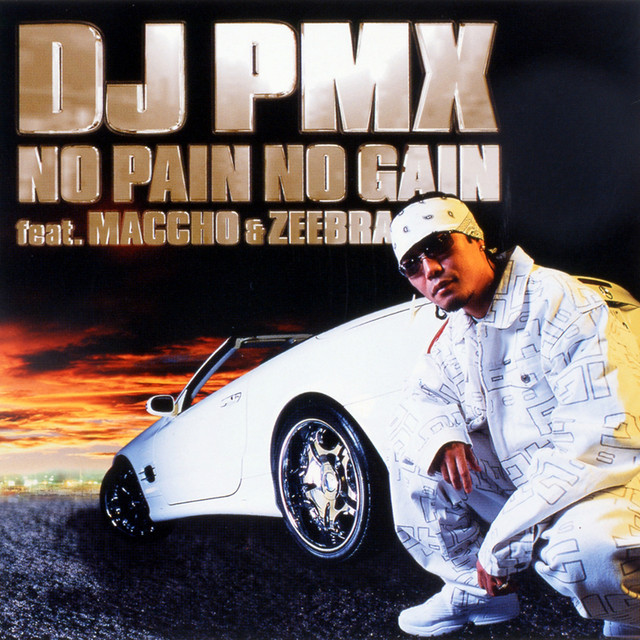 No Pain No Gain cover art