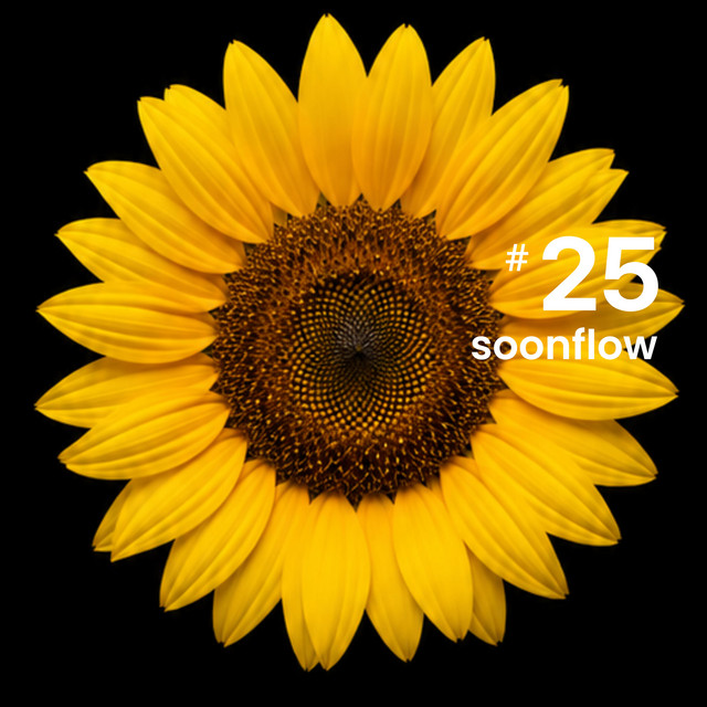25 Passcode: Me ‑「アルバム」by soonflow | Spotify