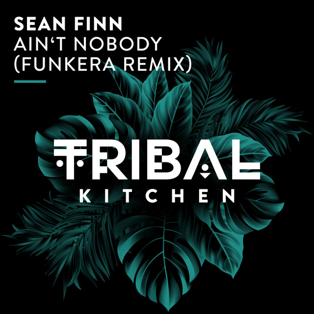 Ain't Nobody - Funkera Extended Remix album art