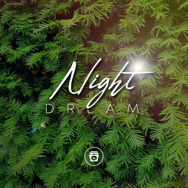 Night Dream cover art