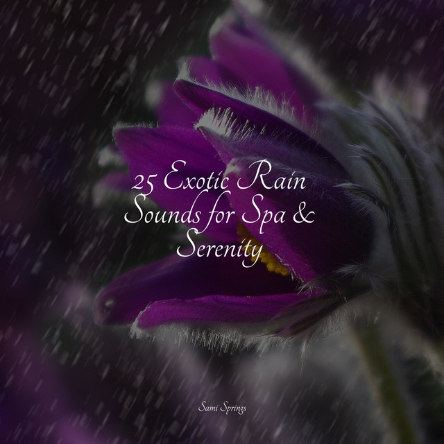 25 Exotic Rain Sounds for Spa & Serenity - Album by Zen Meditate | Spotify