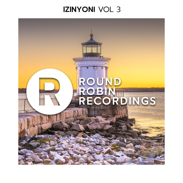 Izinyoni Vol 3 cover art