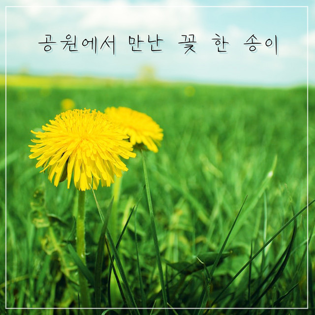 A flower I met in the park cover art
