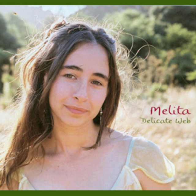 Delicate Web cover art