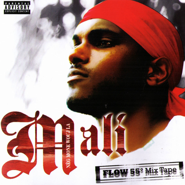 Flow 55 cover art