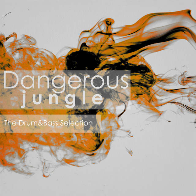 Dangerous Jungle: The Drum&Bass Selection cover art