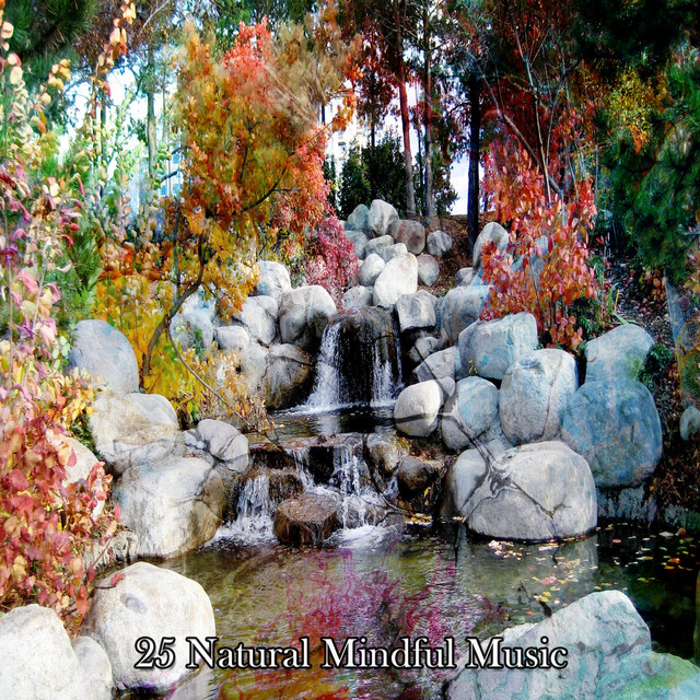 25 Natural Mindful Music - Album by Nature Sounds Artists | Spotify