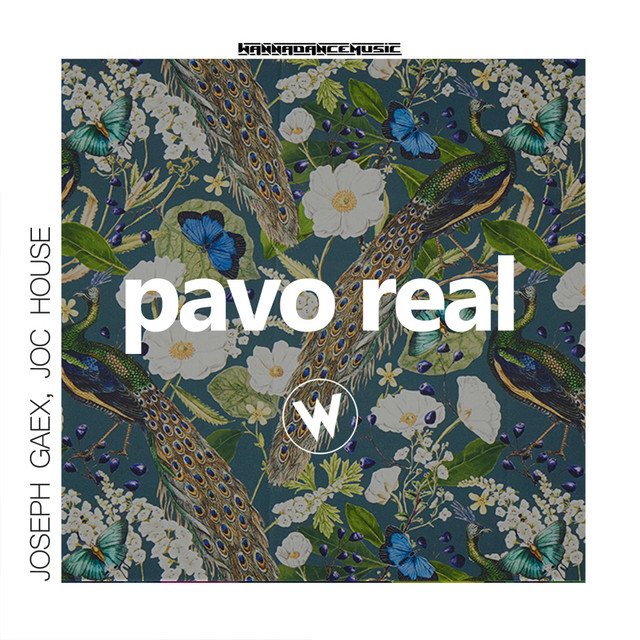 Pavo Real - Joc House Remix