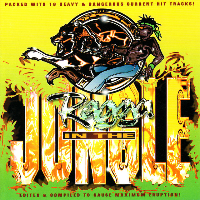 レア盤 Various / Ragga in the Jungle 1995 Ragga In The Jungle – 2 x Vinyl (LP, Compilation), 1995 [r558434