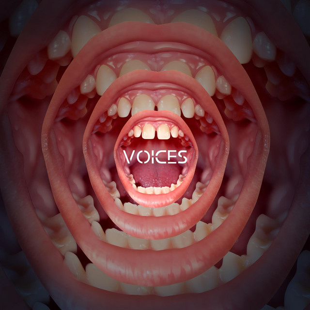 Voices cover art