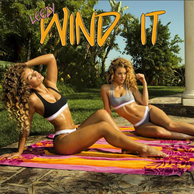 Wind It cover art