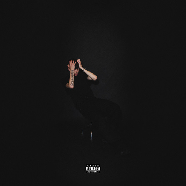 LANGT LANGT BORTE 2 cover art