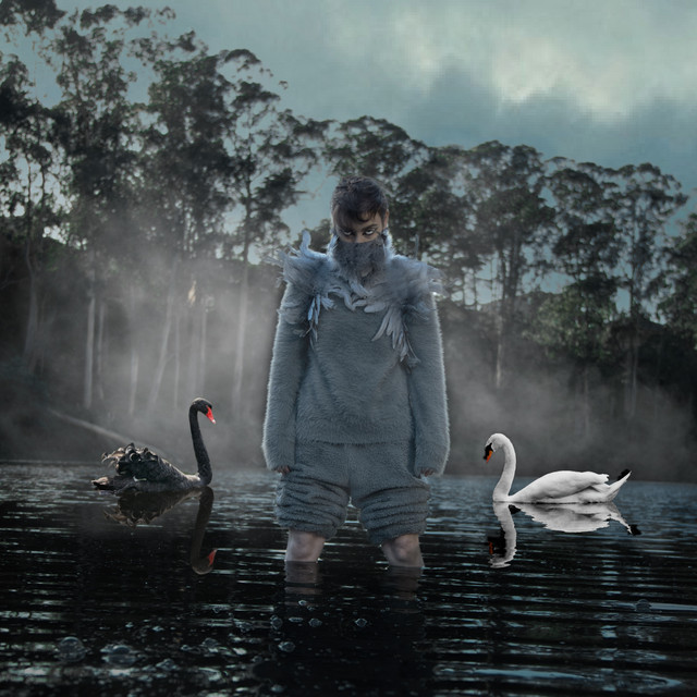 Ugly Duckling cover art