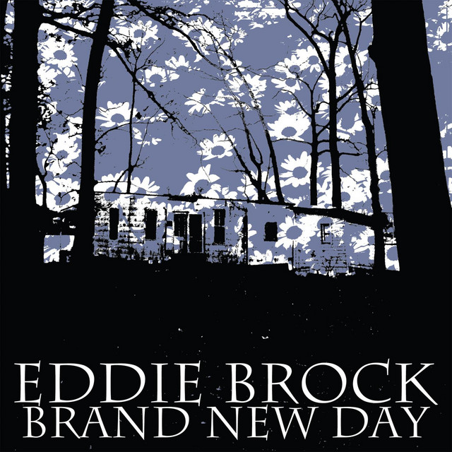 BrandNewDay cover art