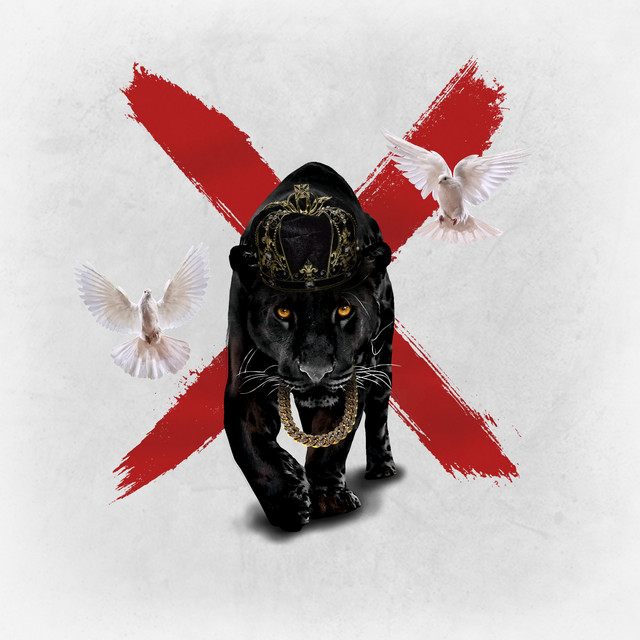 Panther X cover art