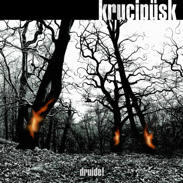 Druide! cover