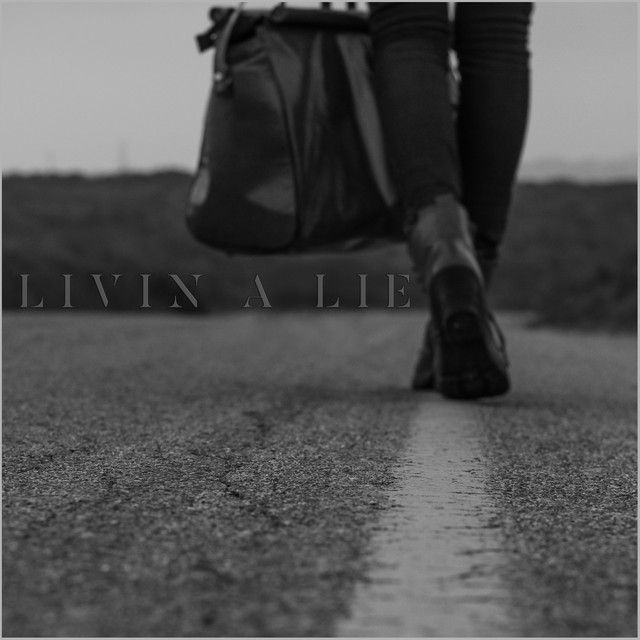 Album artwork for Livin a Lie by The Maze