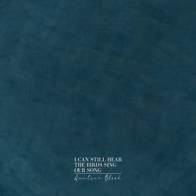 I Can Still Hear The Birds Sing Our Song (single)