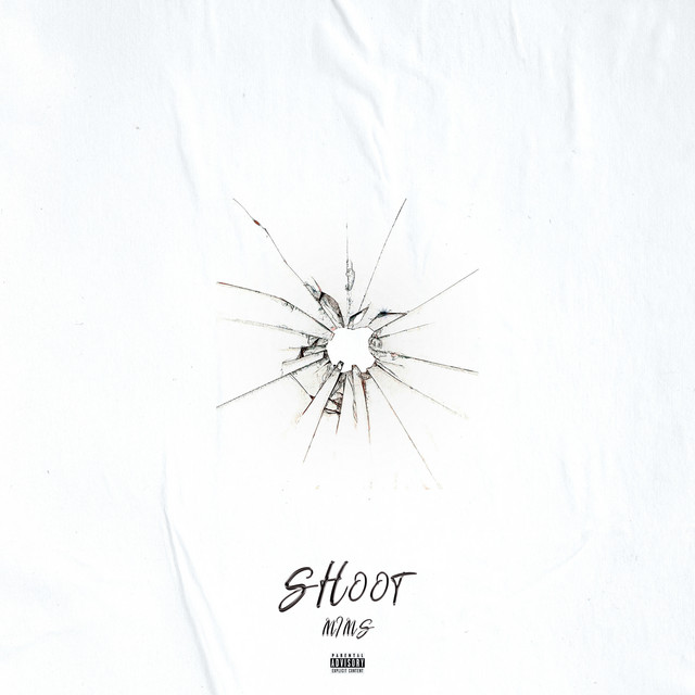 Shoot cover art