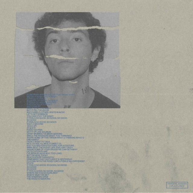Beanie cover art