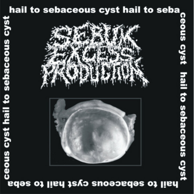 Hail To Sebaceous Cyst! cover art