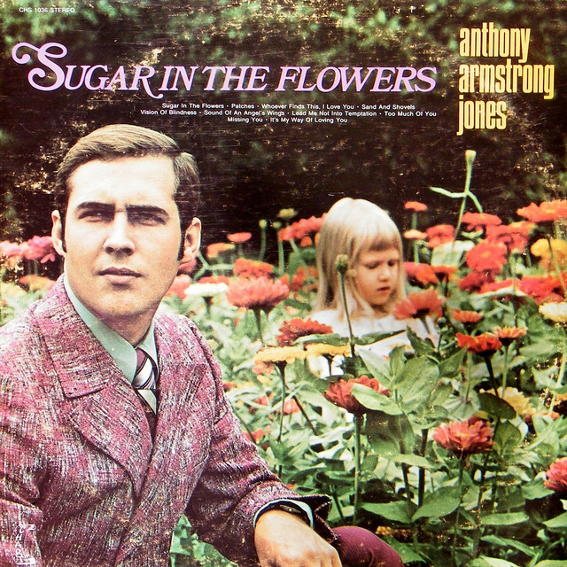 Sugar In The Flowers cover art