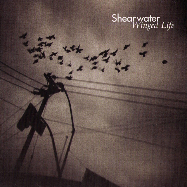 Winged Life cover art