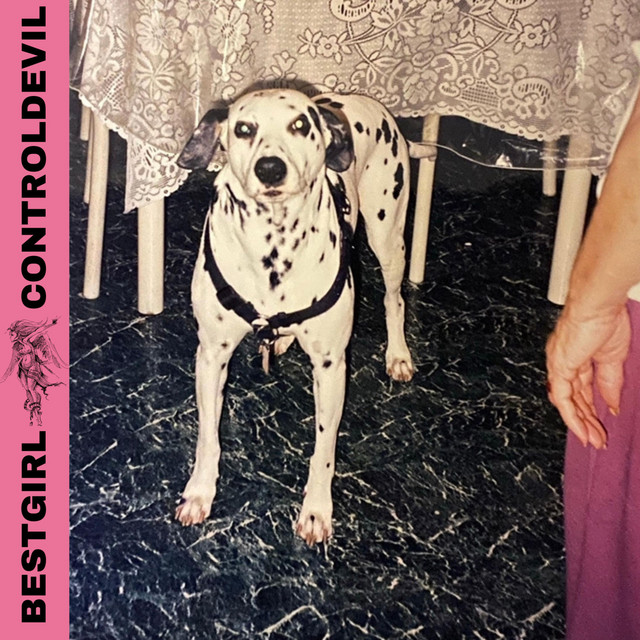 Control Devil cover art