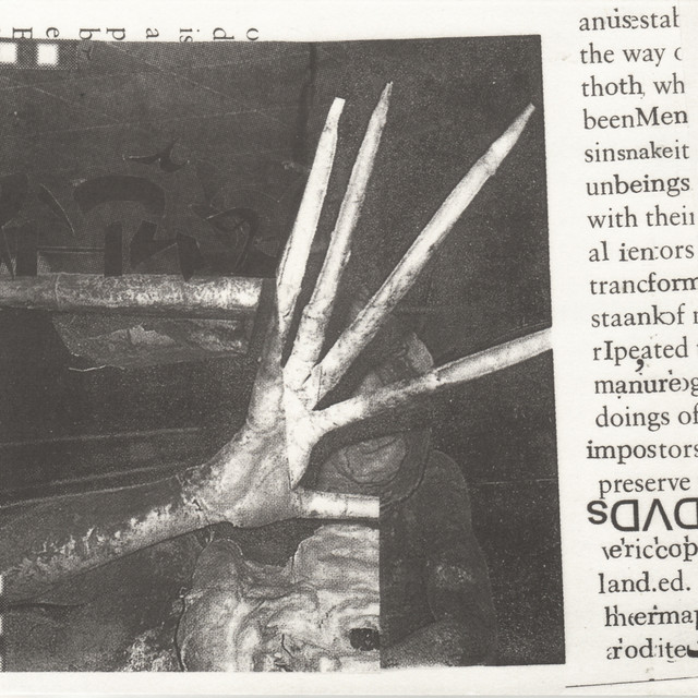 Hermaphrodite cover art