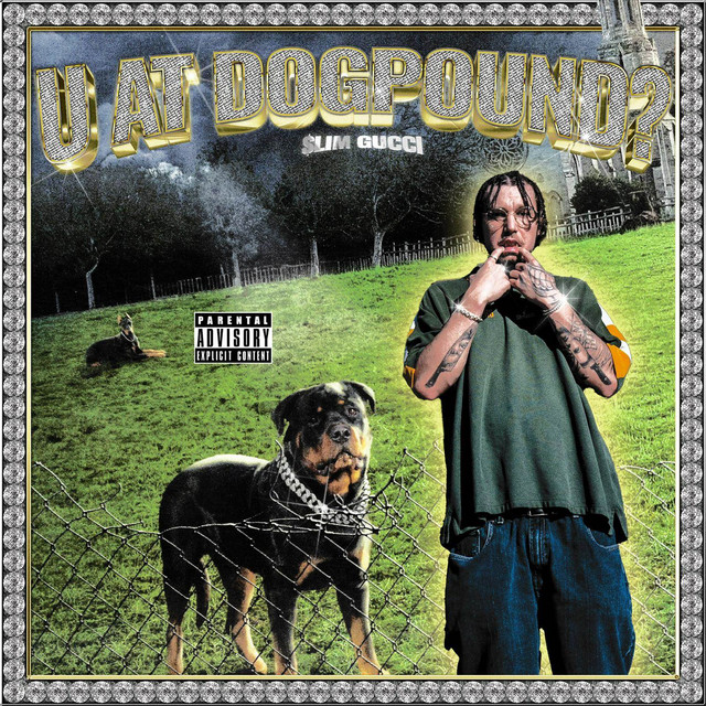 U AT DOGPOUND? cover art