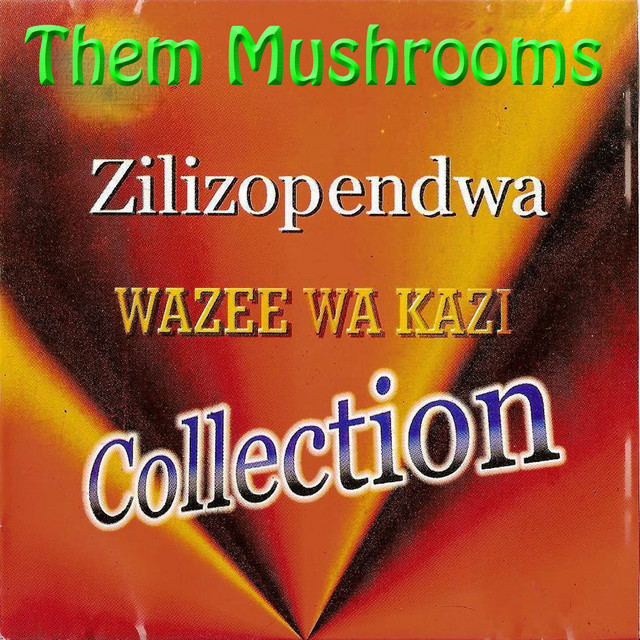 Them Mushrooms Photo