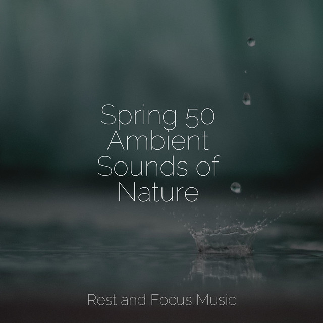 Spring 50 Ambient Sounds of Nature - Album by Music for Absolute Sleep ...