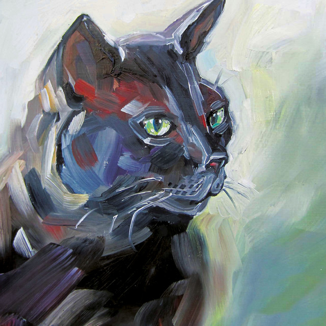 Komm schwarzer Kater cover art
